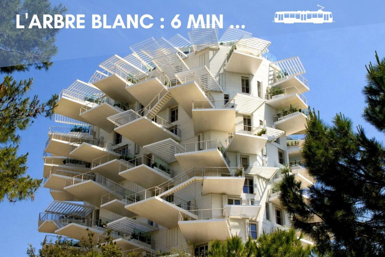 Nouveau - Jungle Montpeul - Clim - Wifi Fibre - Netflix - 5' Du Centre Et Gare - Parking - Loggia - 15' Des Plages Montpellier Luaran gambar