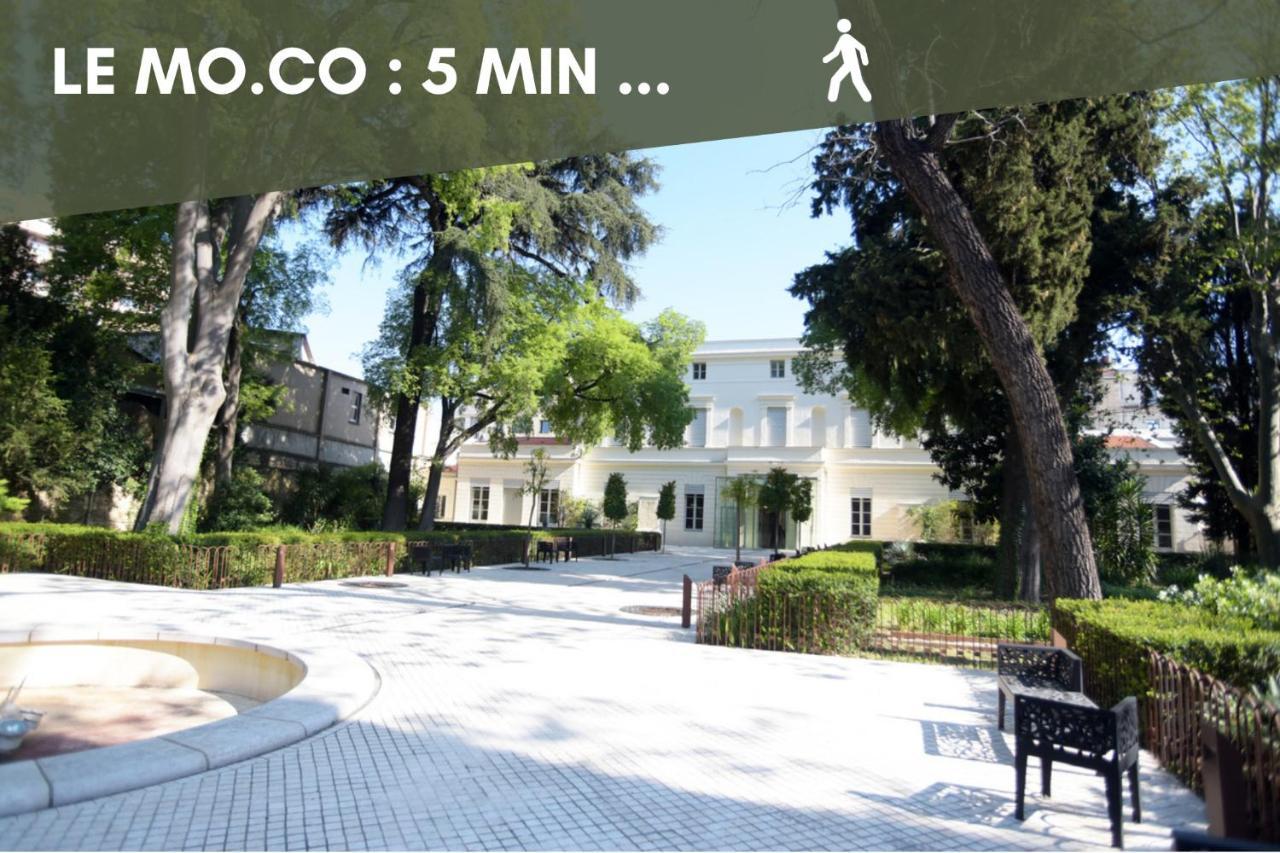 Nouveau - Jungle Montpeul - Clim - Wifi Fibre - Netflix - 5' Du Centre Et Gare - Parking - Loggia - 15' Des Plages Montpellier Luaran gambar